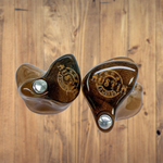 P650 - Custom Acrylic IEM